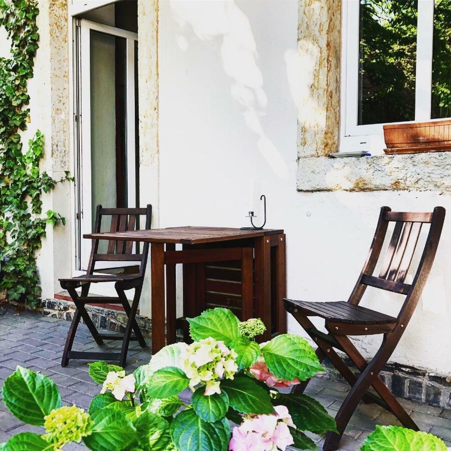 Apartment Alaune Δρέσδη Εξωτερικό φωτογραφία